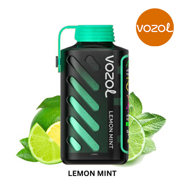 vozol-gear-20000-lemon-mint Vozol Gear Power 20000 Lemon Mint